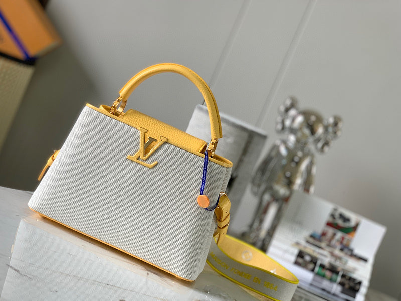 MC-LV-Bags-2823