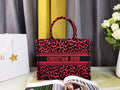 MC-Christian Dior-2592