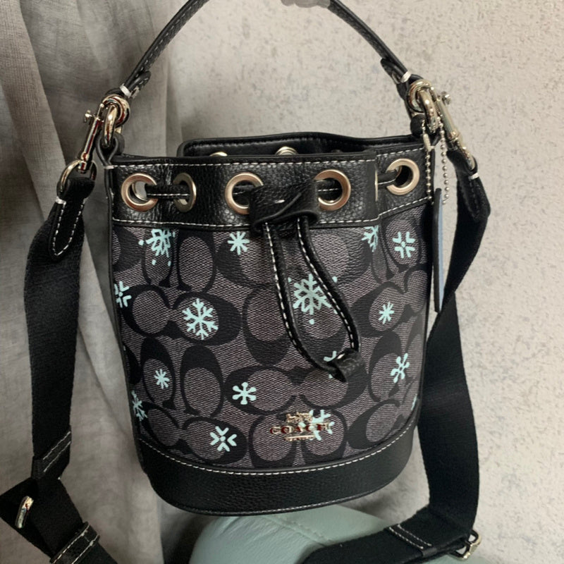 MC-Coach-220