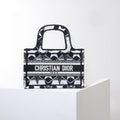 MC-Christian Dior-2655