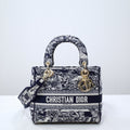 MC-Christian Dior-2699