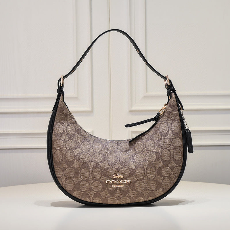 MC-Coach-237