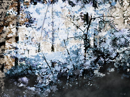 Z.B - Blue Forest - LC