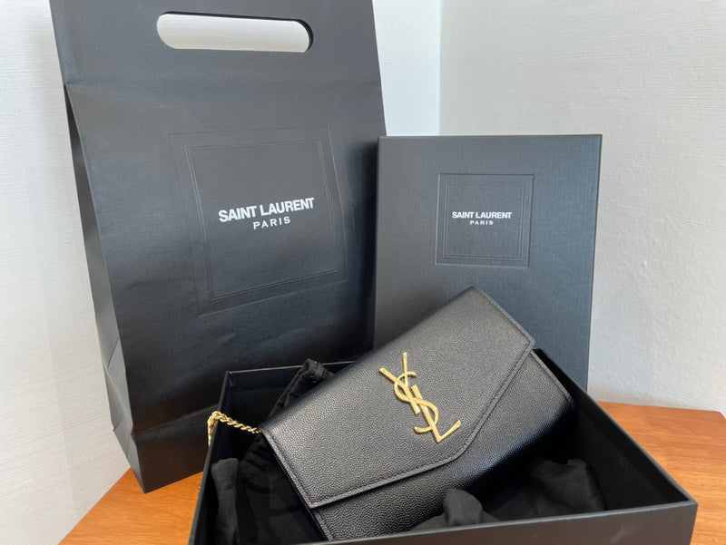 MC-YSL-Bags-2637