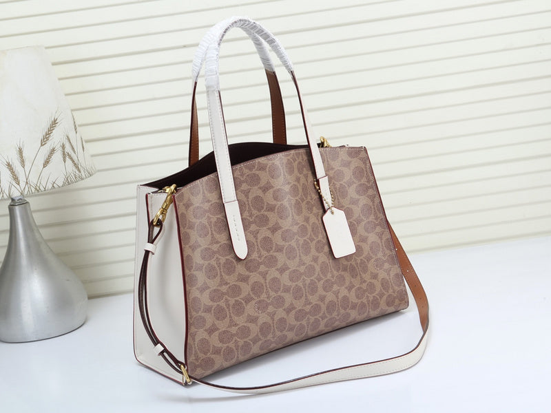 MC-Coach-251