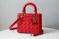 MC-Christian Dior-2902