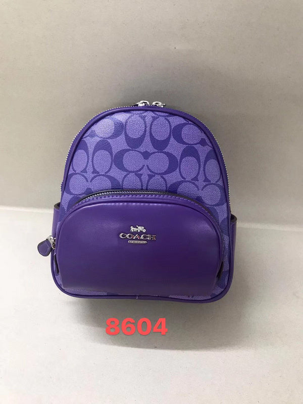 MC-Coach-262