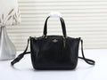 MC-Coach-263
