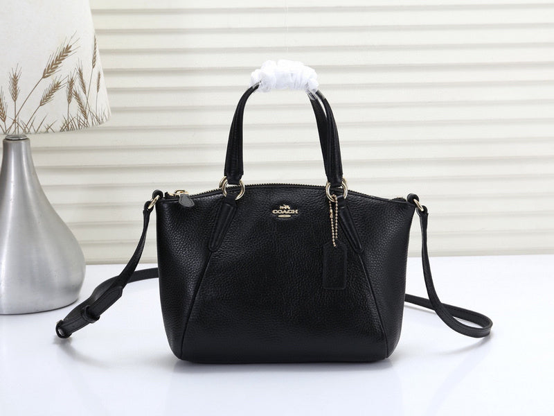 MC-Coach-263