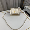 MC-YSL-Bags-2752