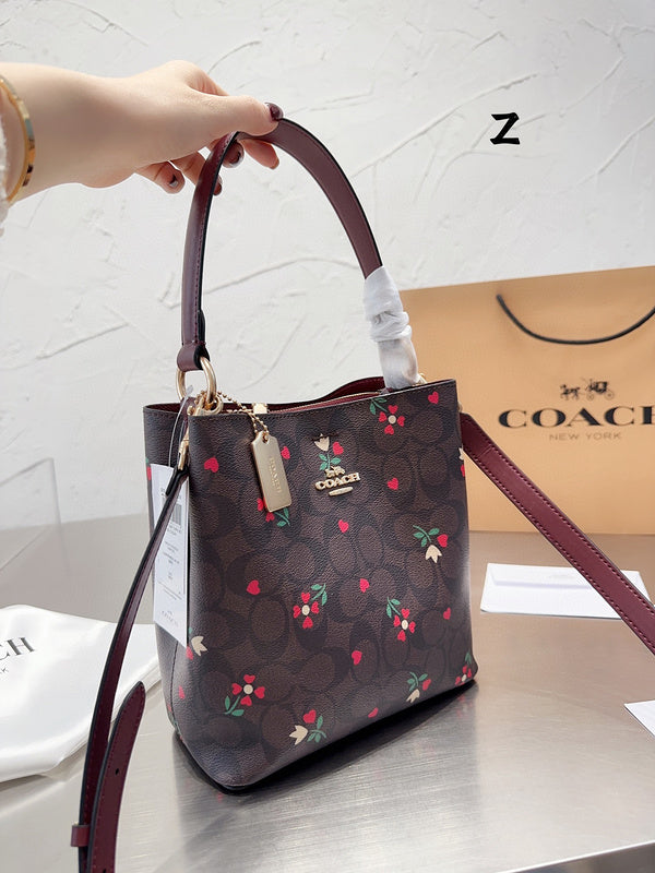 MC-Coach-269