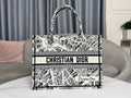 MC-Christian Dior-3071