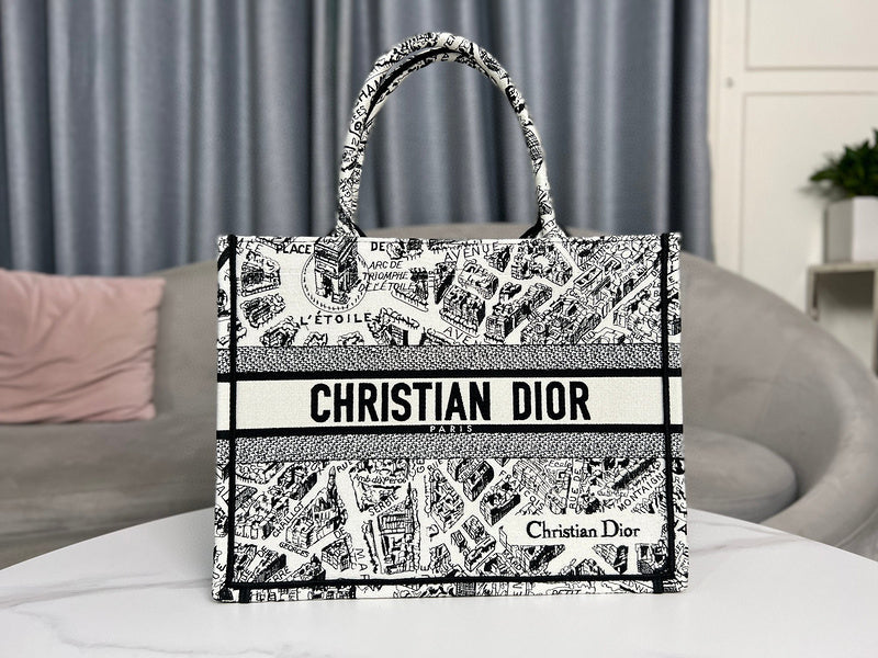 MC-Christian Dior-3071