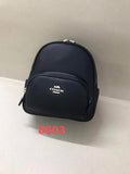MC-Coach-275