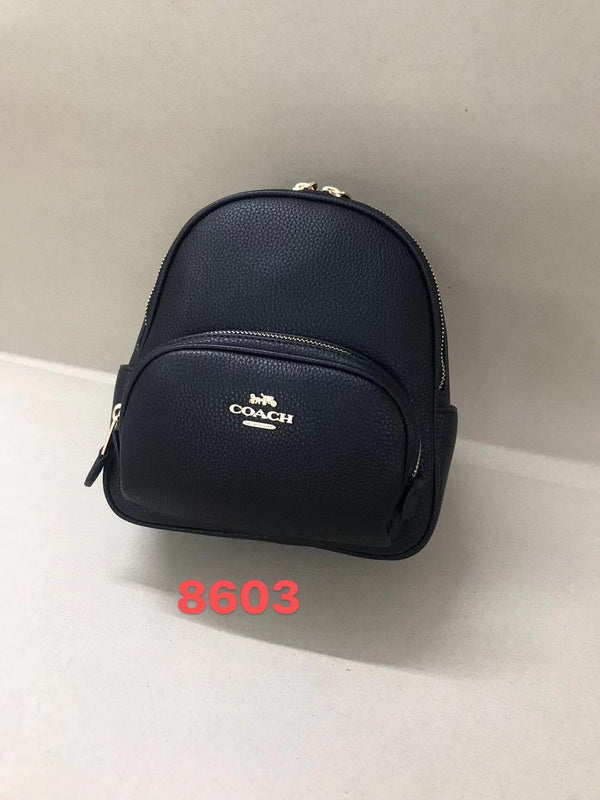 MC-Coach-275