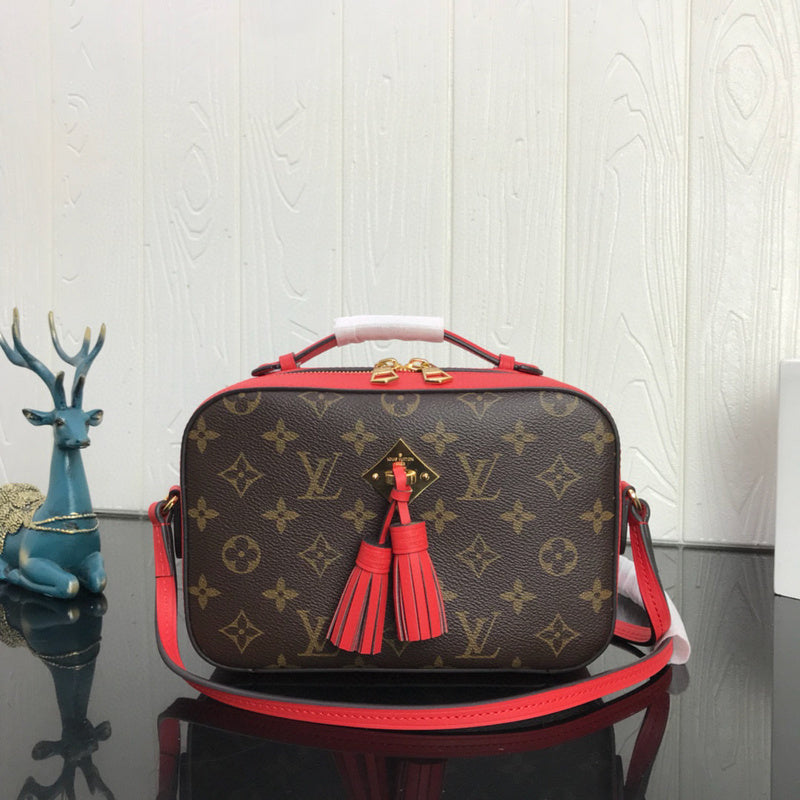 MC-LV-Bags-3476