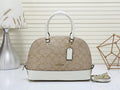 MC-Coach-282