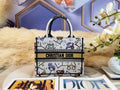 MC-Christian Dior-3253