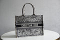 MC-Christian Dior-3273