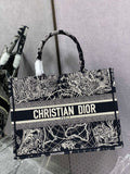 MC-Christian Dior-3422