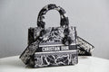 MC-Christian Dior-3423