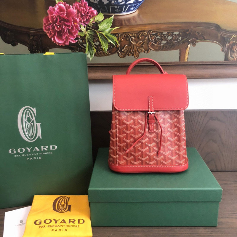 MC-Goyard-1269