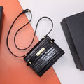 MC-YSL-Bags-3160