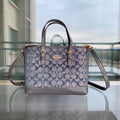 MC-Coach-310