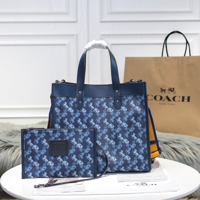 MC-Coach-314