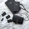 MC-YSL-Bags-3197