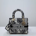 MC-Christian Dior-3541