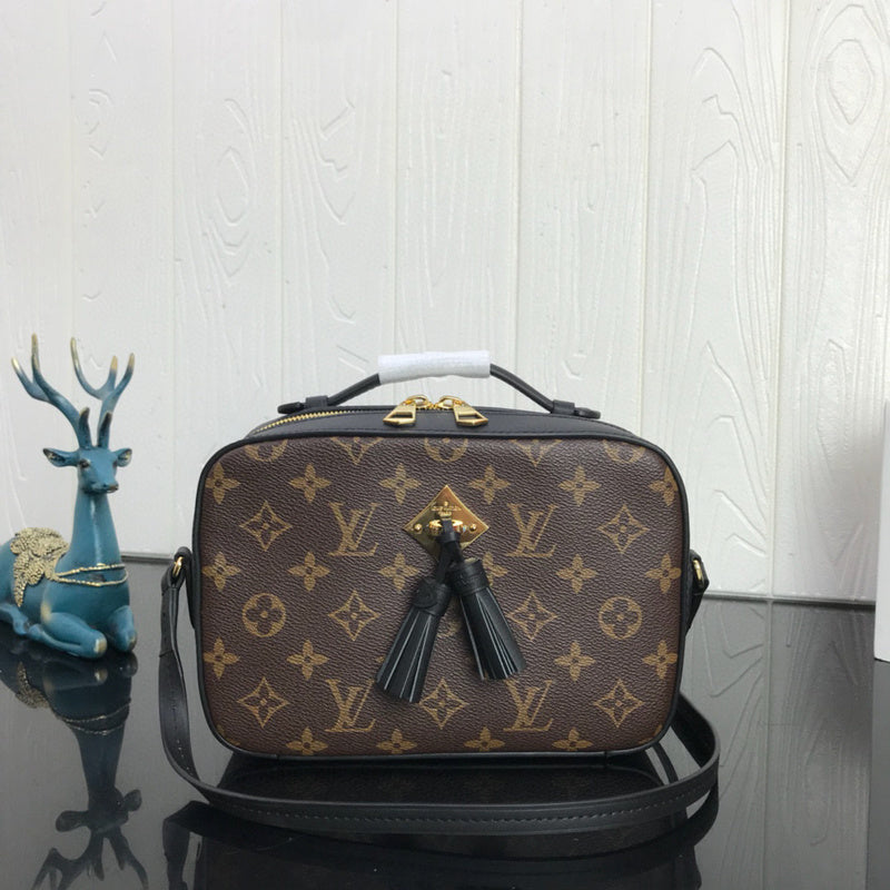 MC-LV-Bags-4016
