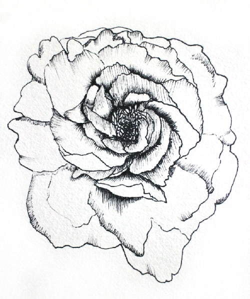 Z.B - Peony
