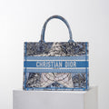 MC-Christian Dior-3720