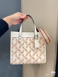 MC-Coach-334