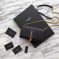 MC-YSL-Bags-3443