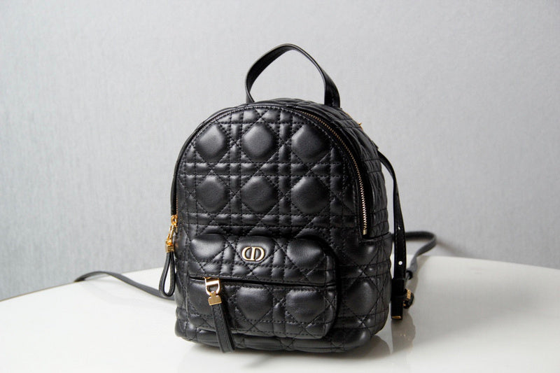 MC-Christian Dior-3795