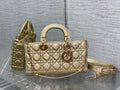 MC-Christian Dior-3910