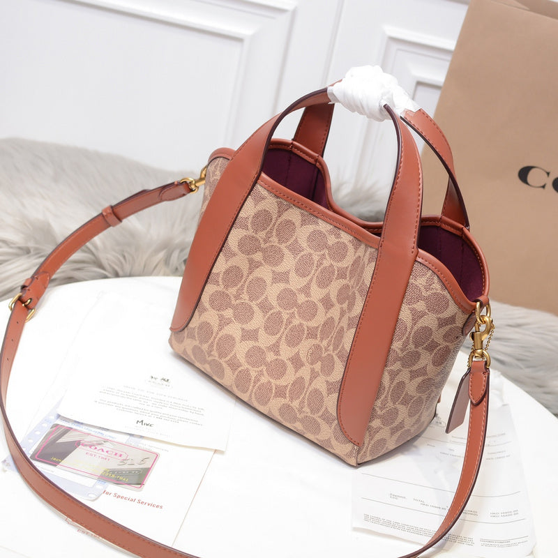 MC-Coach-343