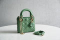 MC-Christian Dior-3941