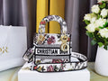 MC-Christian Dior-3948