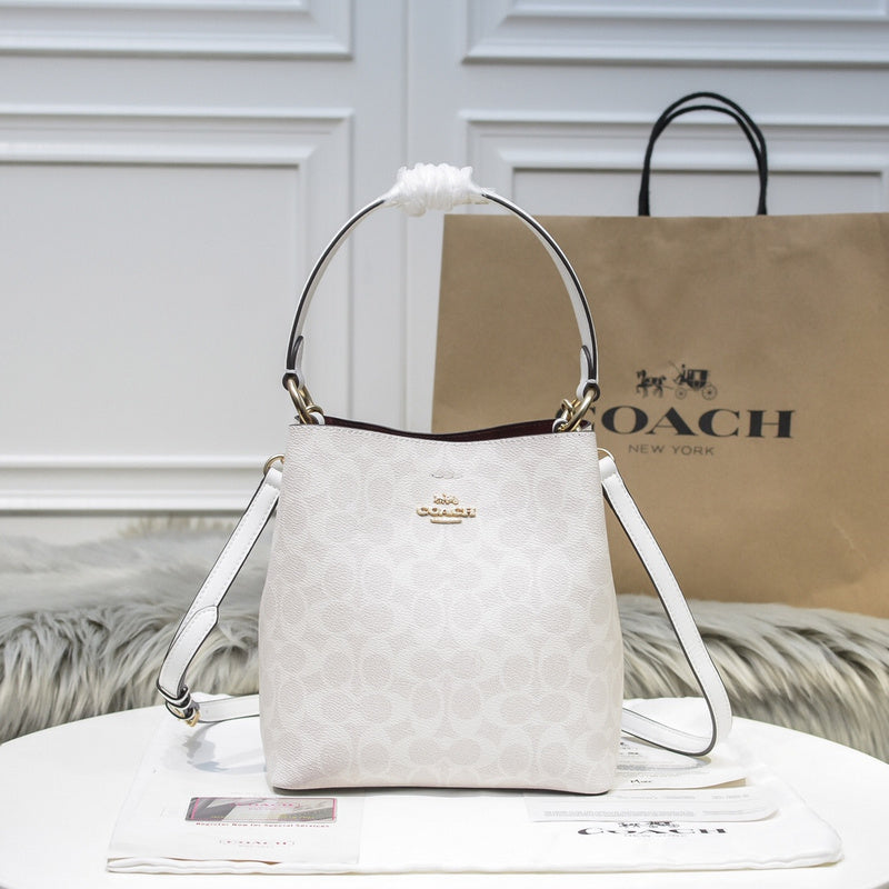 MC-Coach-347