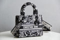 MC-Christian Dior-3957