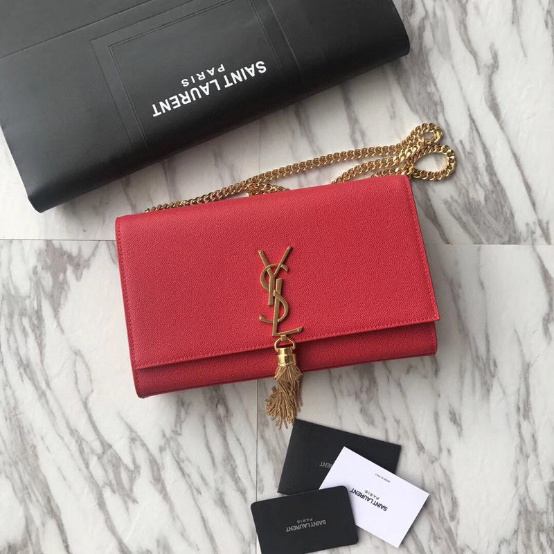 MC-YSL-Bags-3655