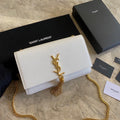 MC-YSL-Bags-3731