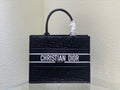 MC-Christian Dior-4153