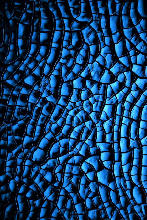 Z.B - Blue Snakeskin