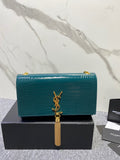 MC-YSL-Bags-3844