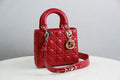 MC-Christian Dior-4256