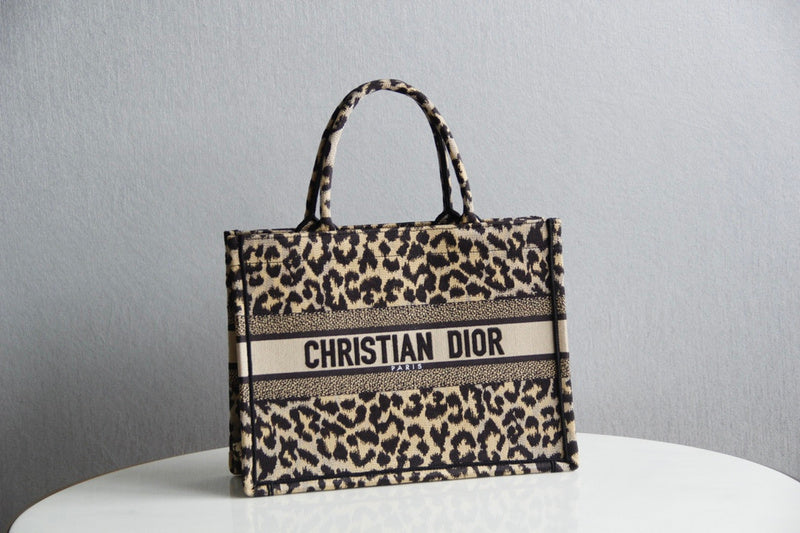 MC-Christian Dior-4277